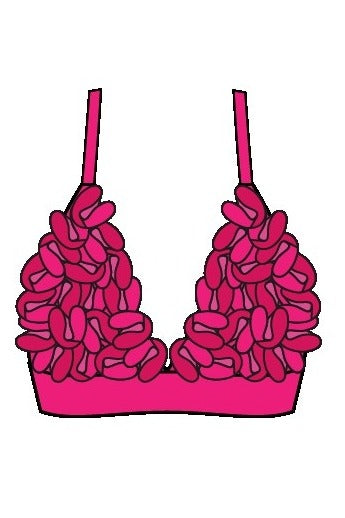 Shan Rose Comfortable triangle bikini top
